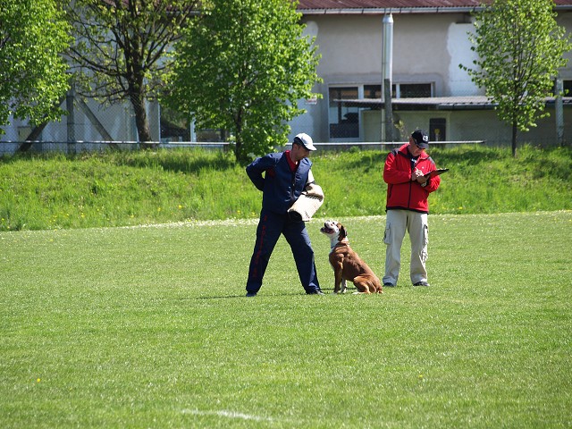 www.atibox.net * www.euroboxer.eu * www.boxergenealogia.eu